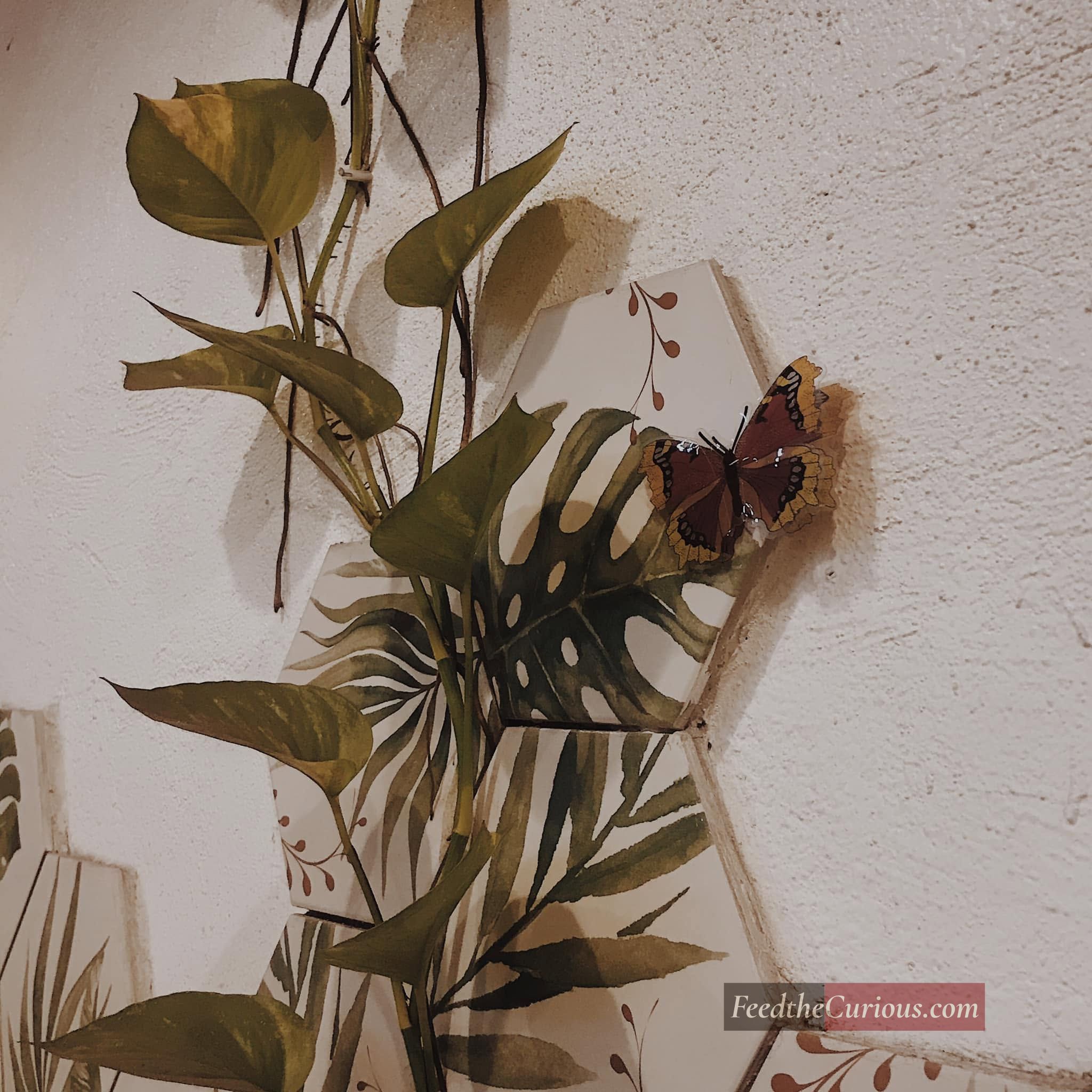 ftc-saigon-butterfly